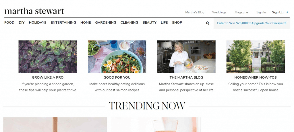 What is website