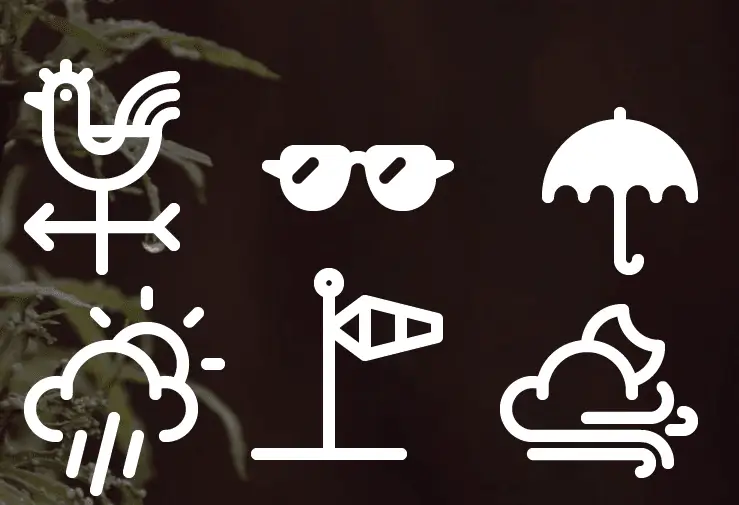 free-weather-icon-set
