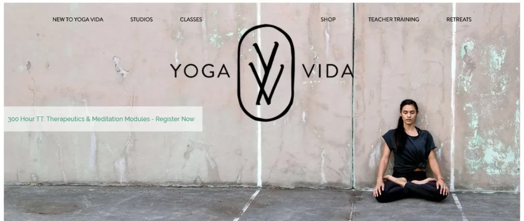 Yoga Website Design Ideas and Inspirations (YogaVida) - ColorWhistle
