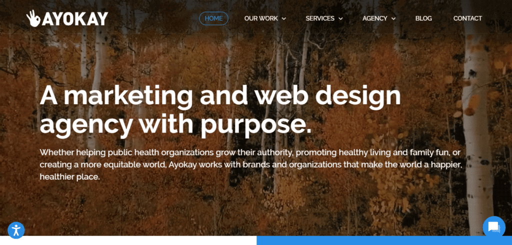 Top Website Design Agencies in Indiana, USA (Ayokay) -ColorWhistle