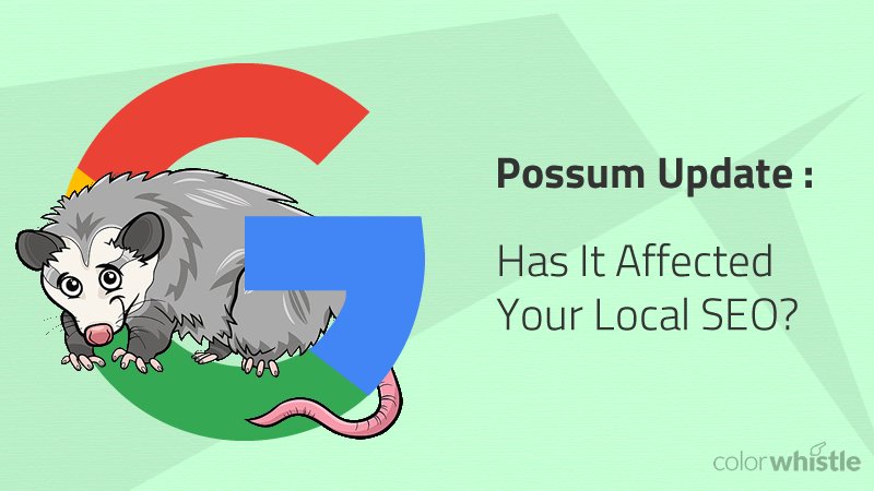 Possum Update