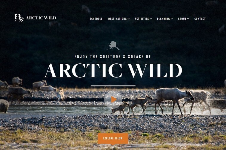 Travel website design and Tourism Website Design Ideas (Artic Wild) - ColorWhistle
