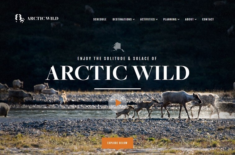 99 Best Travel And Tourism Website Design Inspirations For 2022 Colorwhistle 