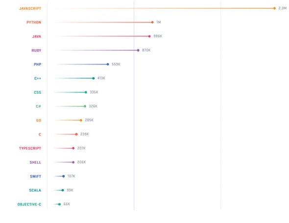 Developers language