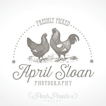 Handwritten1typefaces-7