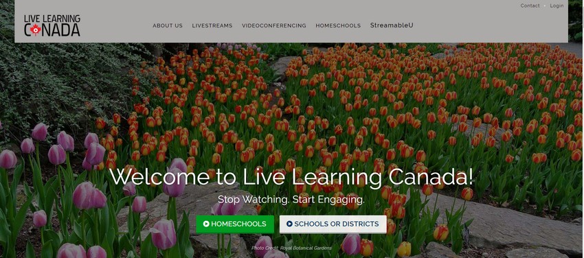 livelearningcanada - website live streaming services company in canada