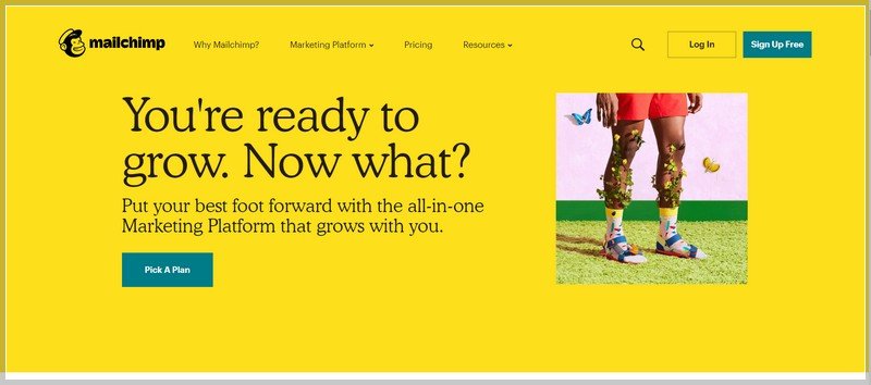 MailChimp-SEO-Tools