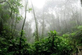 Tourism-Types-Ecotourism
