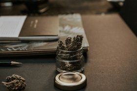 Tourism-Types-Recreational_Drug_Tourism