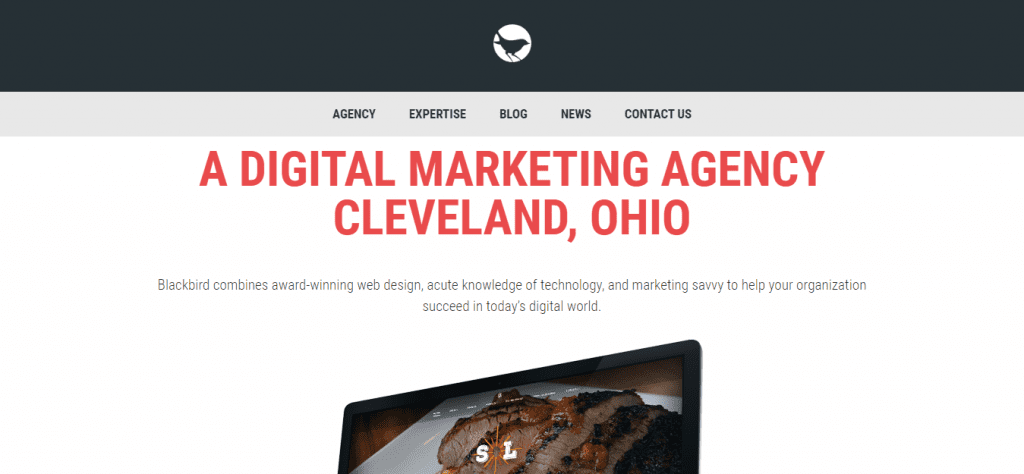 Ohio DigitalMarketing Agency Blackbird