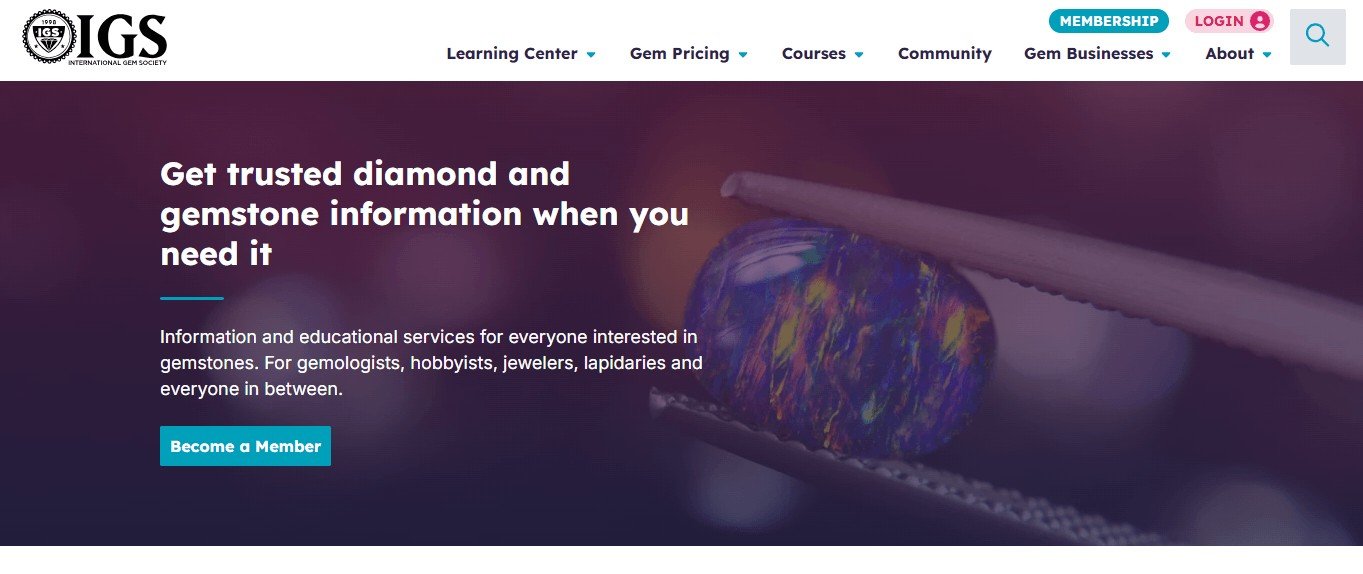 Online Course Membership Website Design Examples (IGS) - ColorWhistle