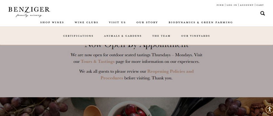 Benziger - Small Business Website Design Ideas 1