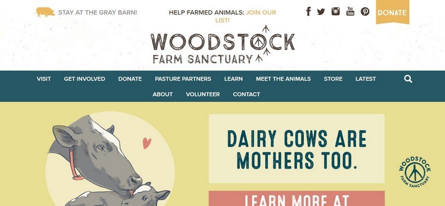 Wood Stock - Small Business Website Design Ideas 10