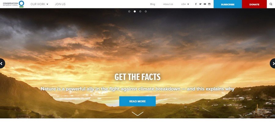 Conservation international - Small Business Website Design Ideas 4