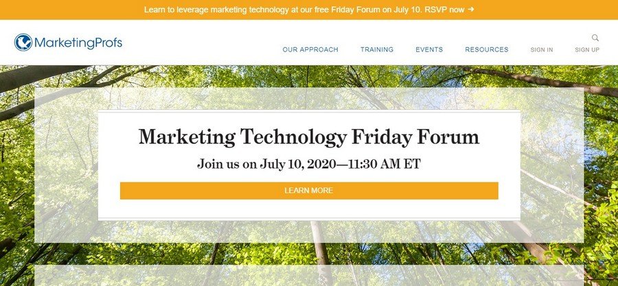Marketing Profs - Small Business Website Design Ideas 6