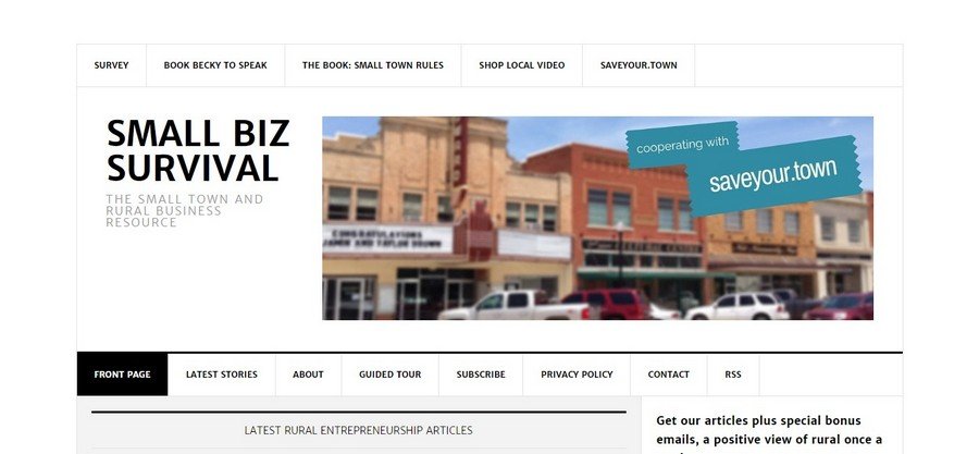 Small Biz Survival - Small Business Website Design Ideas 8