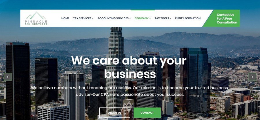 Pinnacle - Small Business Website Design Ideas 9