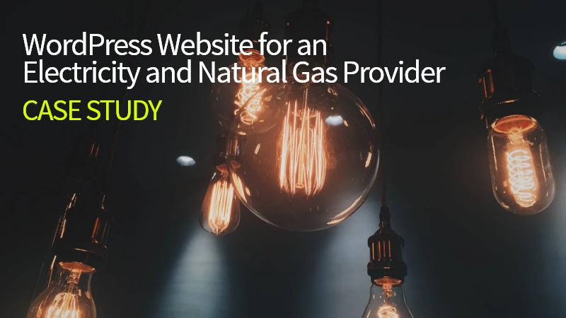 WordPress Website for an Electricity and Natural Gas Case Study