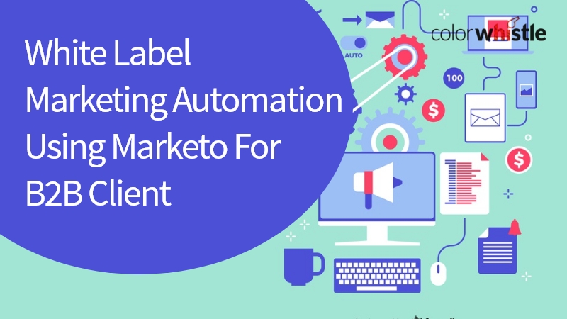 White Label Marketing Automation Using Marketo For B2B Client