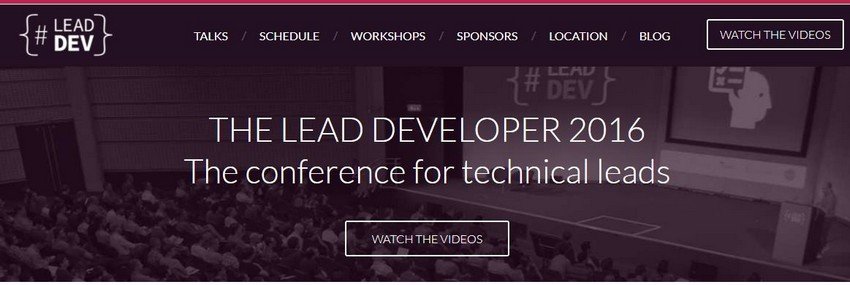 The Lead Developer