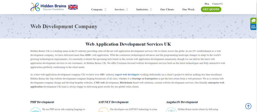 Web Application Development Companies hidden brains
