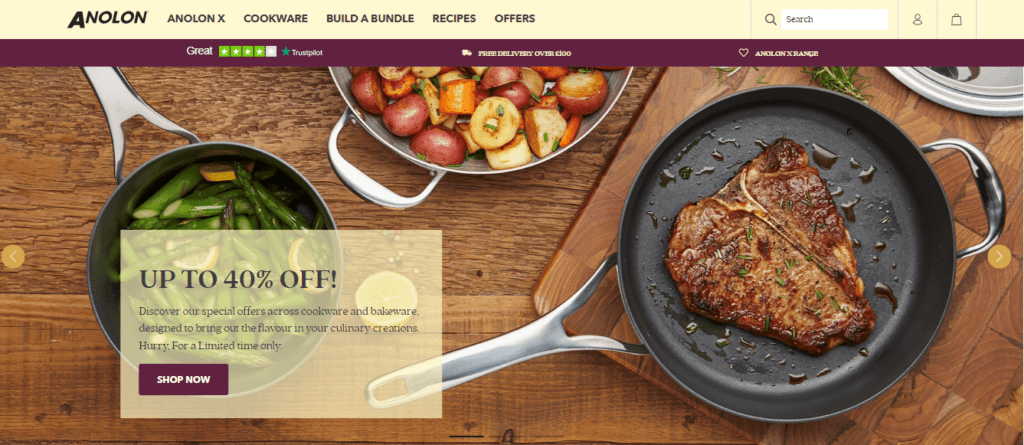 Best Kitchenware Website Design Inspiration (anolon) - ColorWhistle