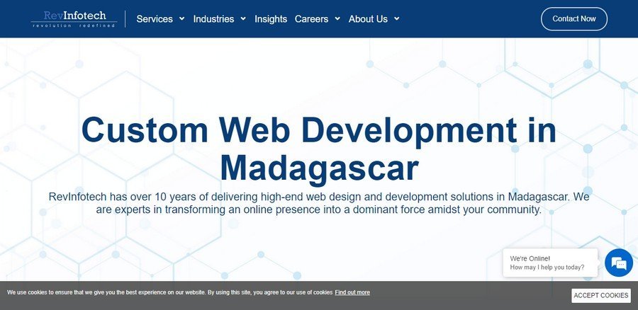 RevInfotech - Top Web Development Companies in Madagascar
