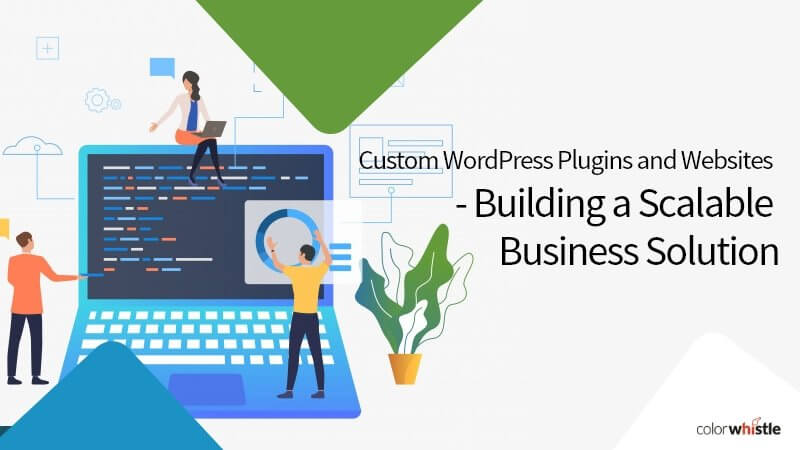 Custom WordPress Plugins and Websites – Building a Scalable Business Solution