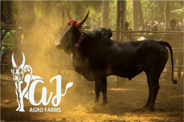 AJ-Agro-Farm logo-design-portfolio - Logo Design Company Mockup by ColorWhistle
