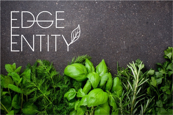 Edge Entity-logo-design - Logo Design Mockup by ColorWhistle
