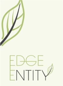Edge Entity-logo-design-portfolio - Professional Logo Design Example