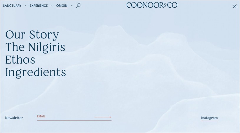 Coonoor-and-co-website-development-portfolio-custom-menu