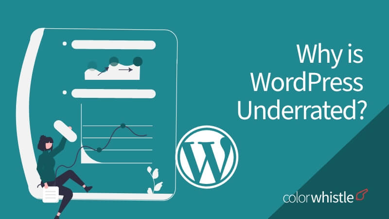 Why is WordPress Underrated? 5+ WordPress Limitations
