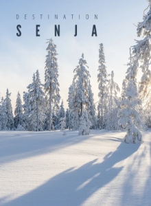 Senja Destination Website-portfolio-