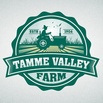 Vintage Logo Designs that Looks Ever-Fresh (Tamme Valley)  - ColorWhistle
