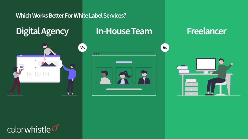 Digital Agency vs In-house Team vs Freelancer – Which works better for White Label Services?