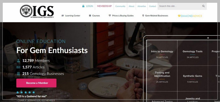 Membership Website Design Ideas and Inspirations (IGS) - ColorWhistle