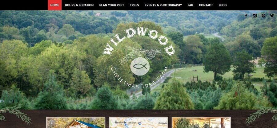 Website Design Ideas, Examples and Inspirations for Small Business (Wildwood) - ColorWhistle