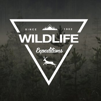 Vintage Logo Designs that Looks Ever-Fresh  (Wildlife) - ColorWhistle