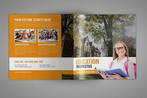 Best Online Education Promotional Brochures Design Examples - ColorWhistle