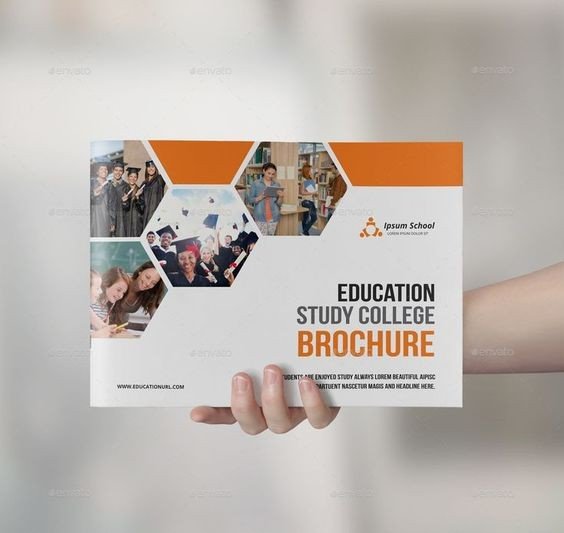 Best Online Education Promotional Brochures Design (Online Study)  - ColorWhistle
