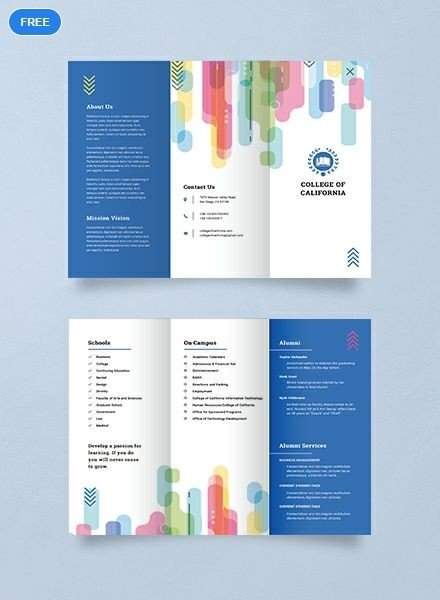 Best Online Education Promotional Brochures Design (COC)  - ColorWhistle