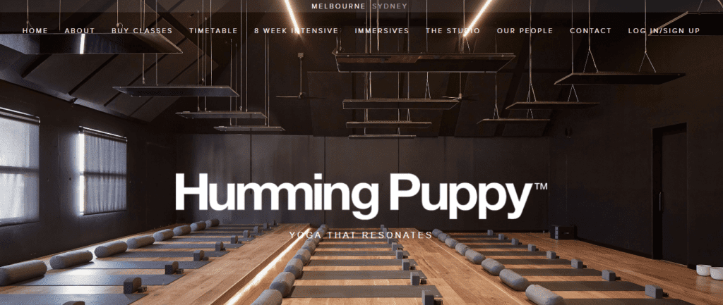 Yoga Website Design Ideas and Inspirations(Humming Puppy) - ColorWhistle