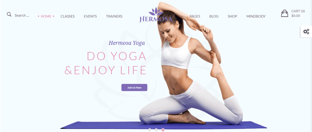 Yoga Website Design Ideas and Inspirations  (Hermosa) - ColorWhistle
