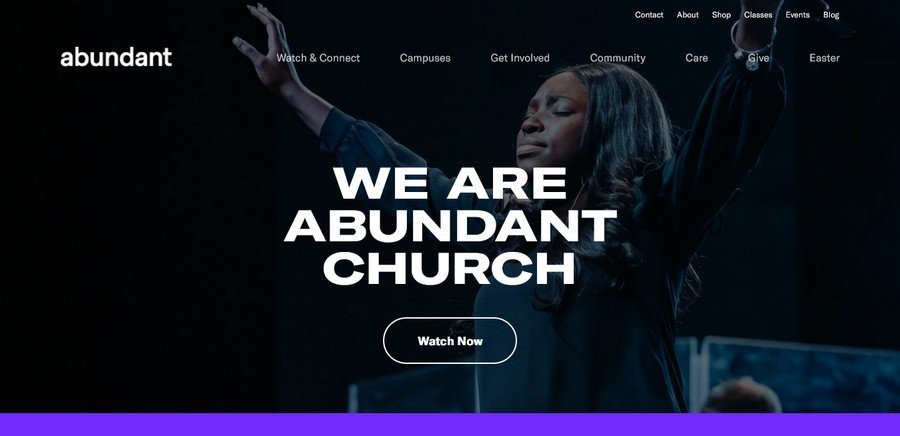 WordPress Website Design Ideas and Inspirations (abundant) - ColorWhistle