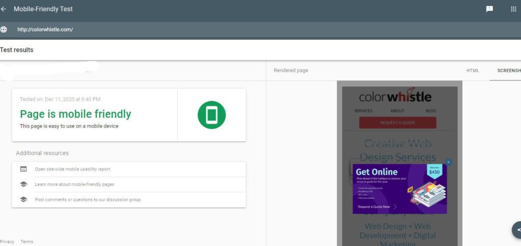 Local SEO For Brands – Beyond ORM And Lead Generation! (Results Screenshot of Google Mobile Testing Tool) - ColorWhistle