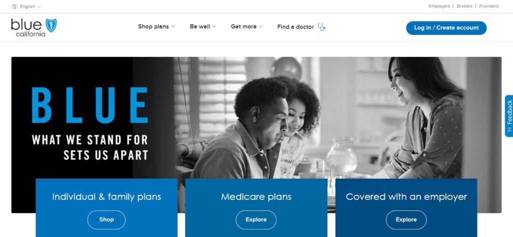 Healthcare & Medical Website Design Ideas (Blue) - ColorWhistle