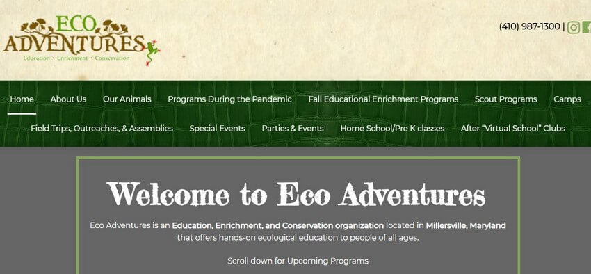 Top Event Website Design Examples That Will Inspire You (Eco Adventures) - ColorWhistle