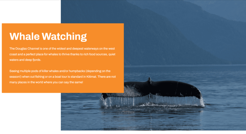 Tourist Website Design, Website Development Case Study Ideas (Kitimat) - ColorWhistle