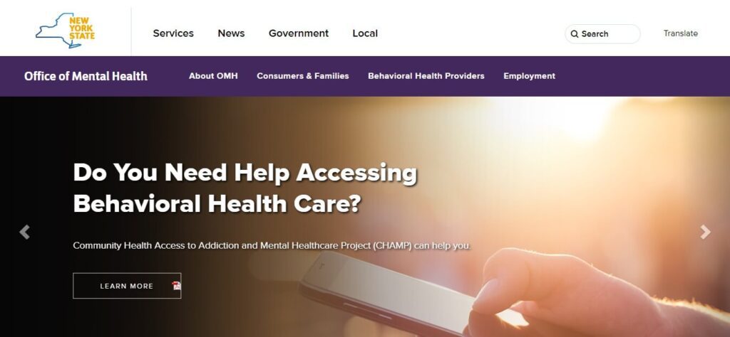 Healthcare & Medical Website Design Ideas (Office of Mental Health) - ColorWhistle